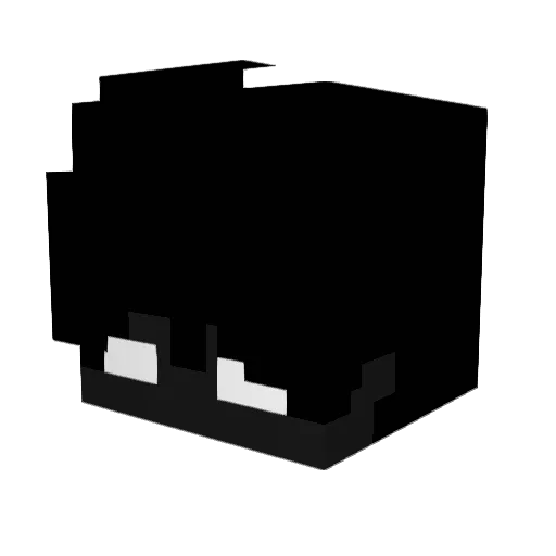 MiningForFunYT Minecraft avatar head, 3D render