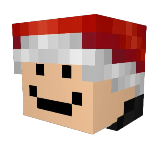 MiningMoe121 Minecraft avatar head, 3D render