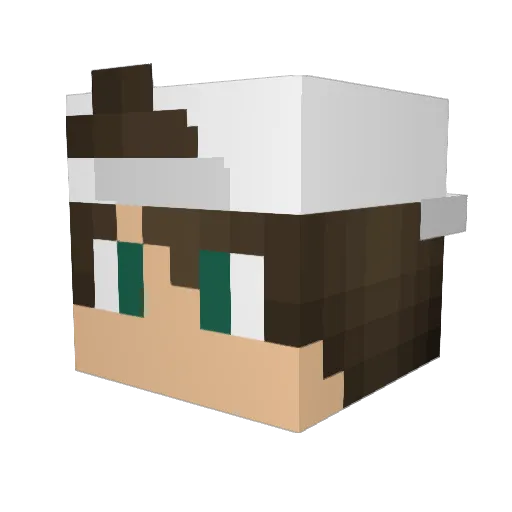 MiningRyann Minecraft avatar head, 3D render