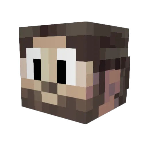 MiningTomSan Minecraft avatar head, 3D render