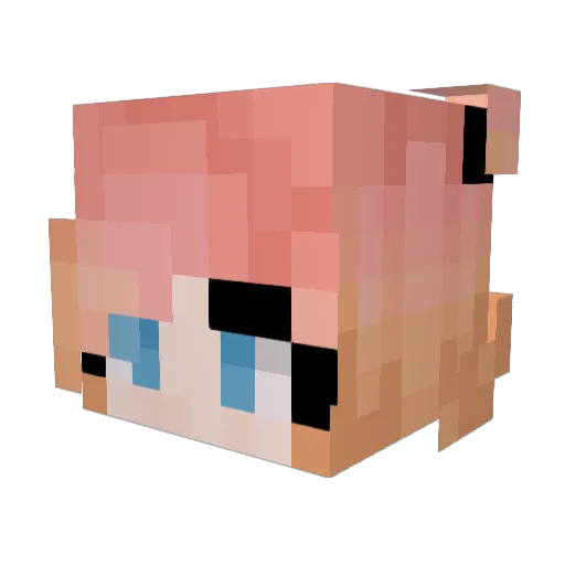 Miningflo Minecraft avatar head, 3D render