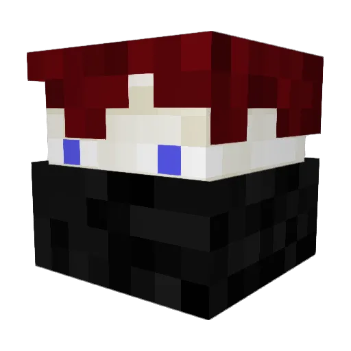 Miningkid04 Minecraft avatar head, 3D render