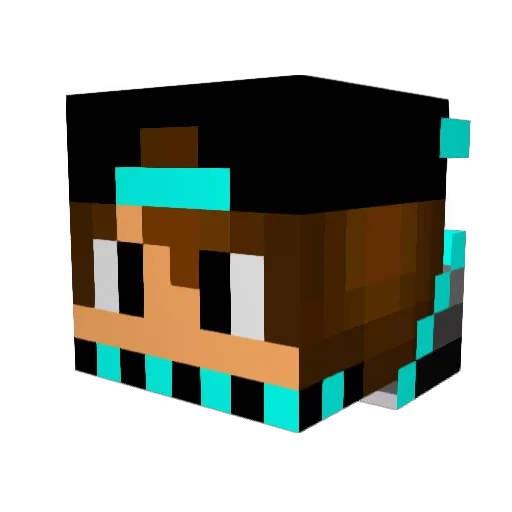 Minion4Life12 Minecraft avatar head, 3D render