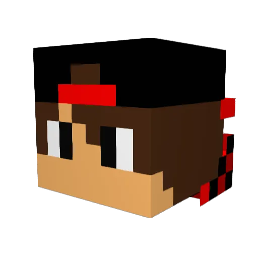 MinionGamerHD Minecraft avatar head, 3D render