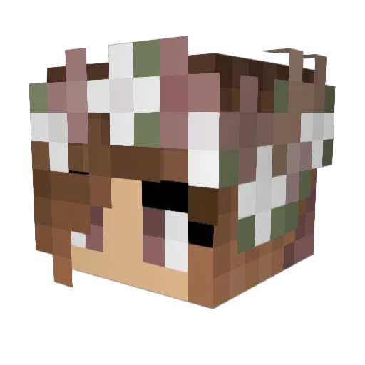 MinionLover0712 Minecraft avatar head, 3D render