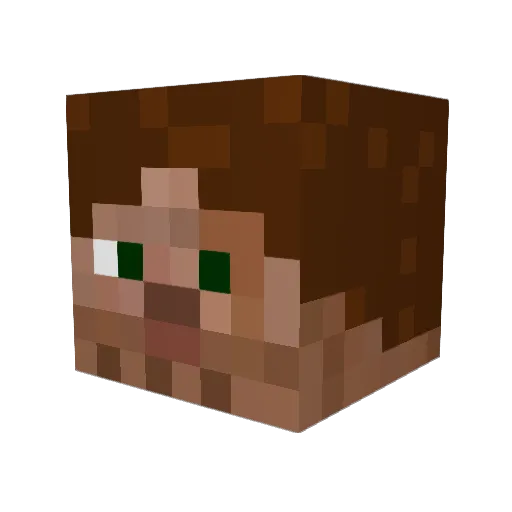 Minion_Ygor Minecraft avatar head, 3D render