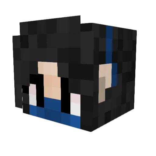 Minipina101 Minecraft avatar head, 3D render