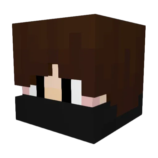 MinipouDMC Minecraft avatar head, 3D render