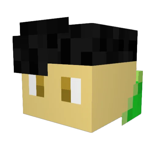 Miniraft_ Minecraft avatar head, 3D render