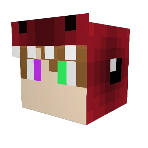 Miniraptor2011 Minecraft avatar head, 3D render