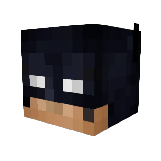 Minirobo10 Minecraft avatar head, 3D render