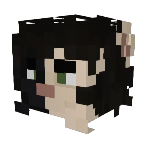 MinisVoid Minecraft avatar head, 3D render