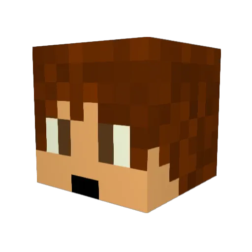 Minisaur909 Minecraft avatar head, 3D render