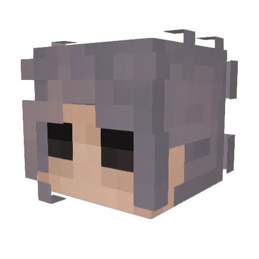 MinisterFudge Minecraft avatar head, 3D render