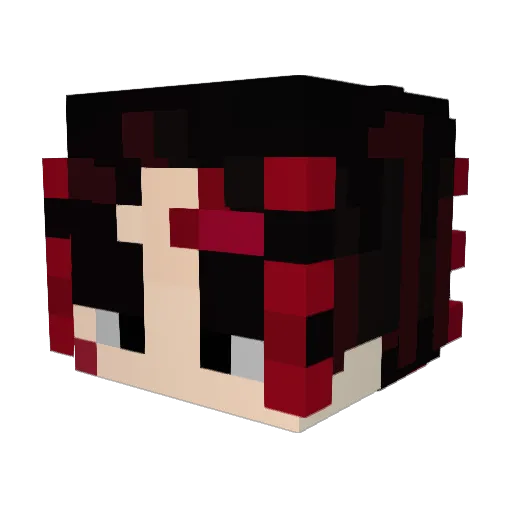 Minitroe Minecraft avatar head, 3D render