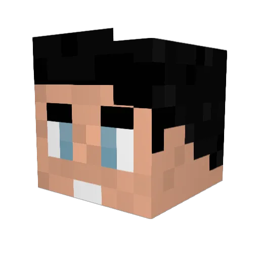 Minitron94 Minecraft avatar head, 3D render