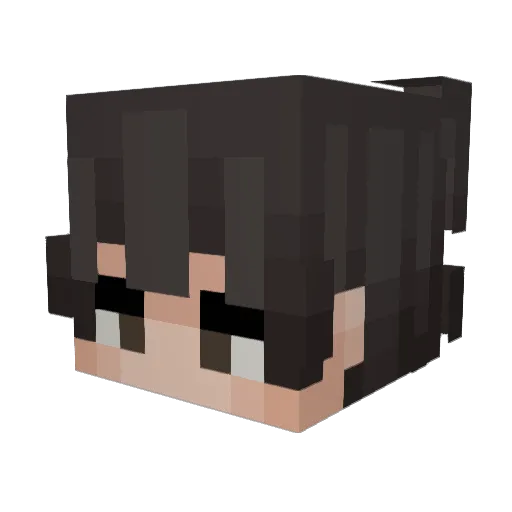 Miniwillow8989 Minecraft avatar head, 3D render