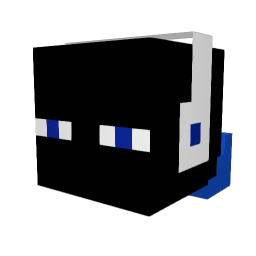 MinjaKim20 Minecraft avatar head, 3D render