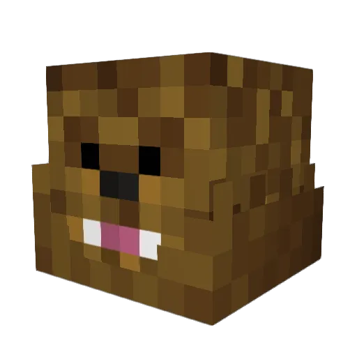 Minjng Minecraft avatar head, 3D render