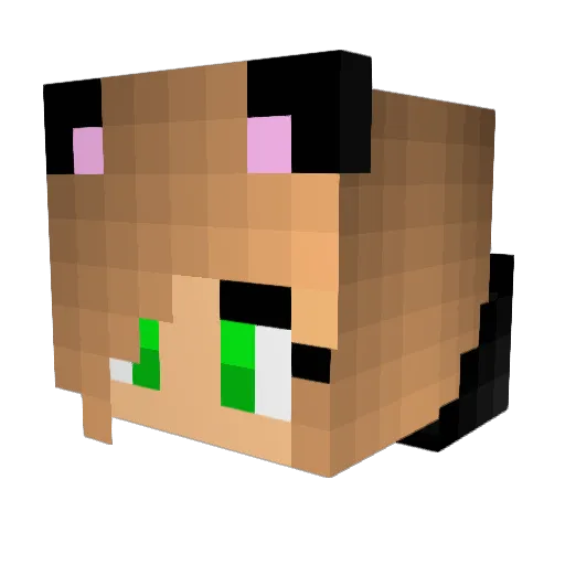 MinkaLua Minecraft avatar head, 3D render