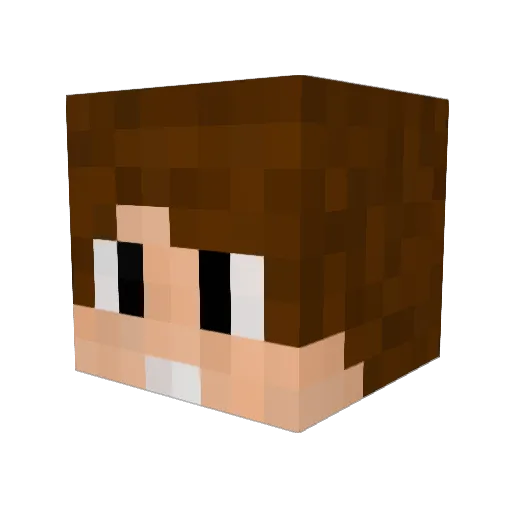 Minking Minecraft avatar head, 3D render