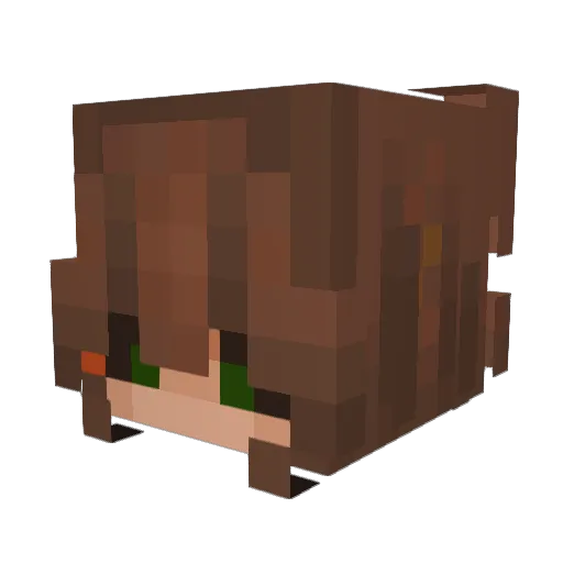 Minko_0 Minecraft avatar head, 3D render