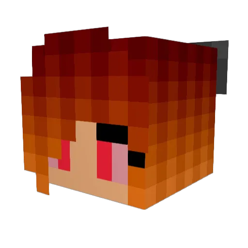 MinkyMonk420 Minecraft avatar head, 3D render