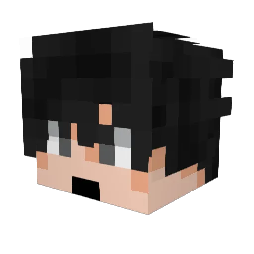 Minlillepony Minecraft avatar head, 3D render
