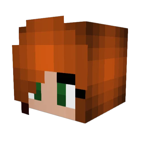 MinnecraftUser Minecraft avatar head, 3D render