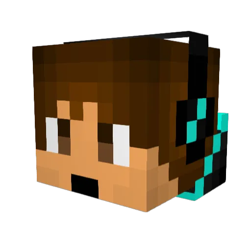 Minner49er288 Minecraft avatar head, 3D render