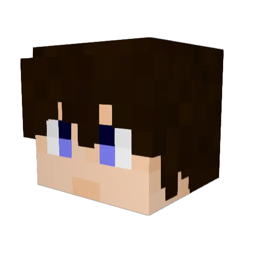 MinnesotaCN Minecraft avatar head, 3D render