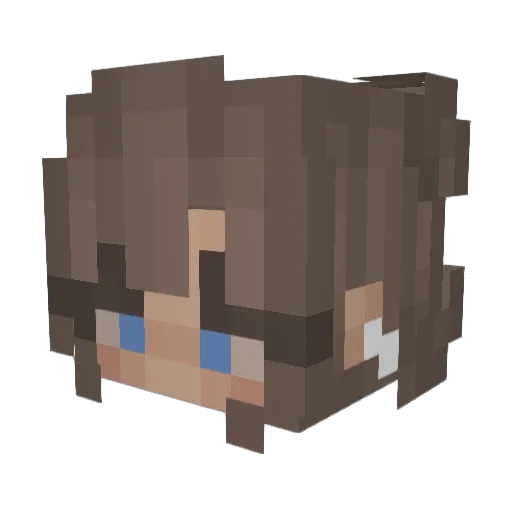 Minnow5272 Minecraft avatar head, 3D render