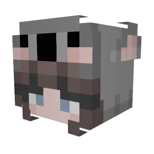 Minnow_mm Minecraft avatar head, 3D render