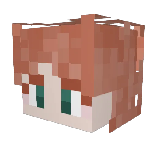 Minnowhert Minecraft avatar head, 3D render