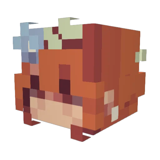 Minny2369 Minecraft avatar head, 3D render