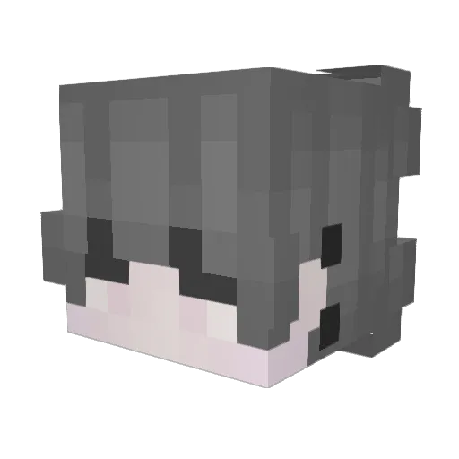 MinnyBoy_ Minecraft avatar head, 3D render
