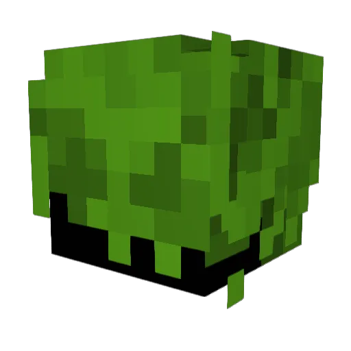 Minoes09 Minecraft avatar head, 3D render