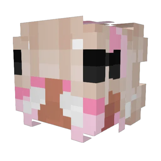 Minoine Minecraft avatar head, 3D render