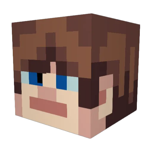 MinorCrafter Minecraft avatar head, 3D render