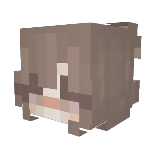 Minori666 Minecraft avatar head, 3D render