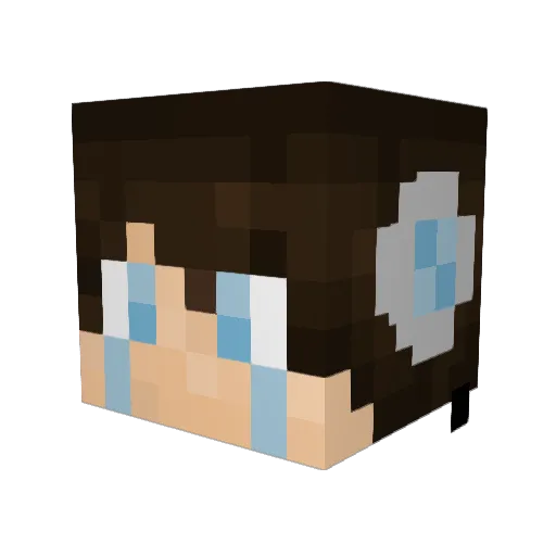 Minority01 Minecraft avatar head, 3D render