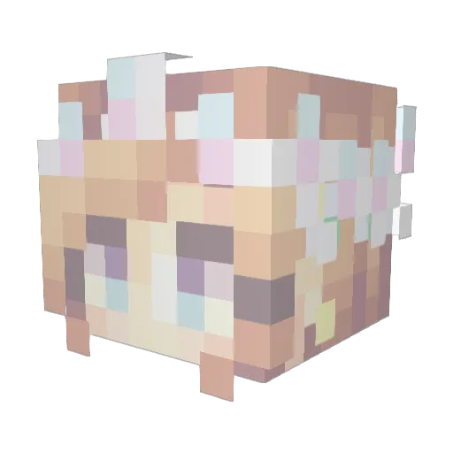 Minorun37 Minecraft avatar head, 3D render
