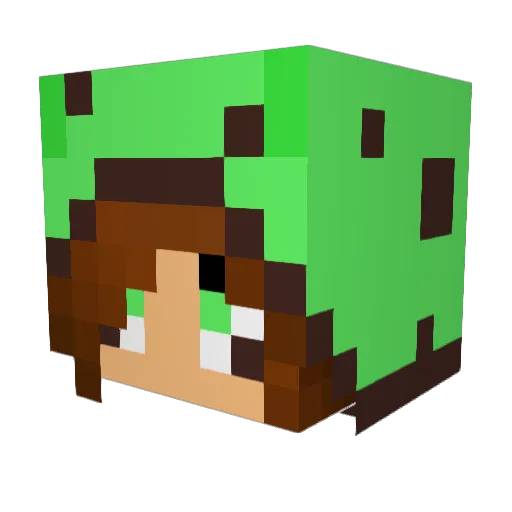 MintChip14 Minecraft avatar head, 3D render