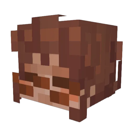 MintChip228 Minecraft avatar head, 3D render