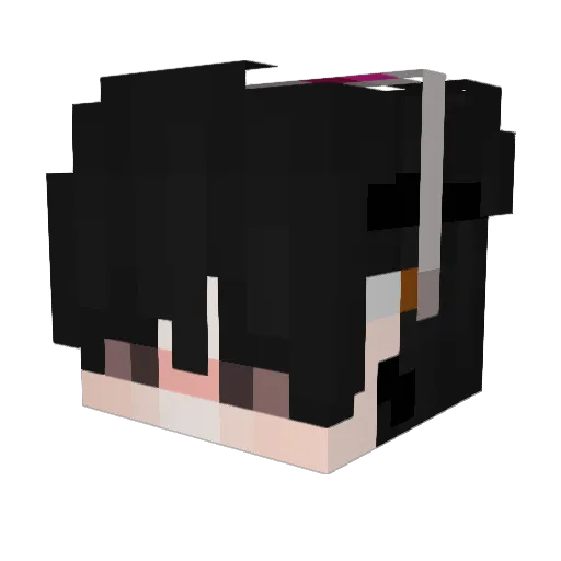 MintNotFound Minecraft avatar head, 3D render