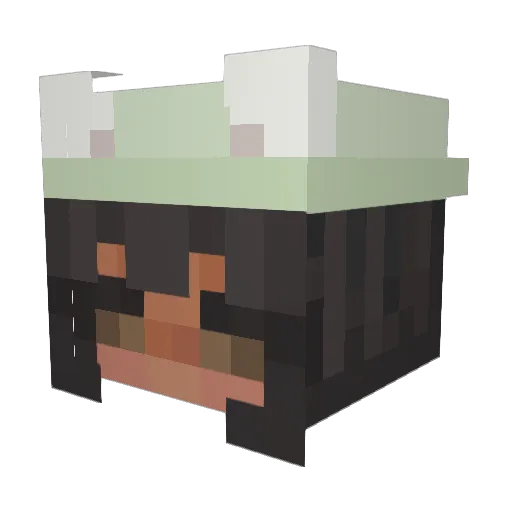 Mint_Latte Minecraft avatar head, 3D render
