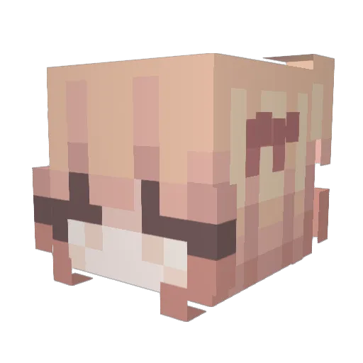 Mint_Pepsi Minecraft avatar head, 3D render