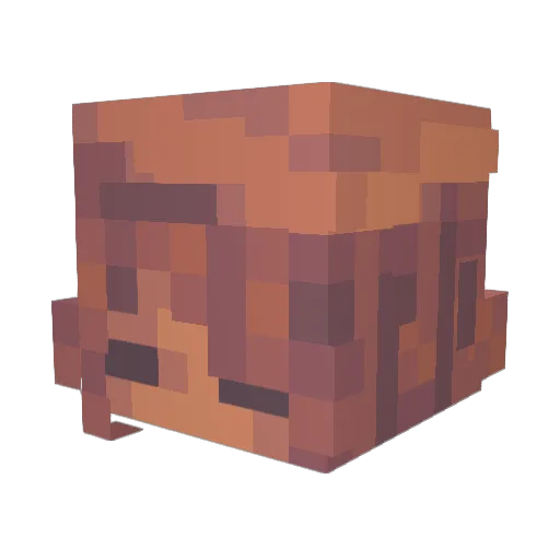 Mint_Trace Minecraft avatar head, 3D render