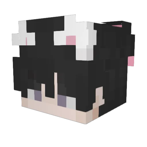 Mintdotwav Minecraft avatar head, 3D render