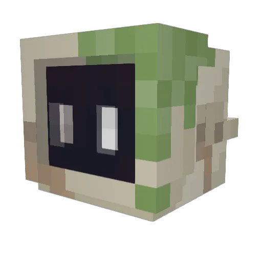 Minto5999 Minecraft avatar head, 3D render